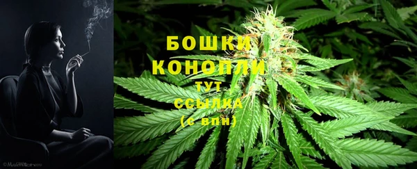 первитин Белокуриха