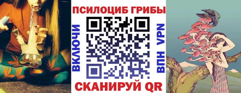 Псилоцибиновые грибы прущие грибы  где купить наркоту  Курильск 